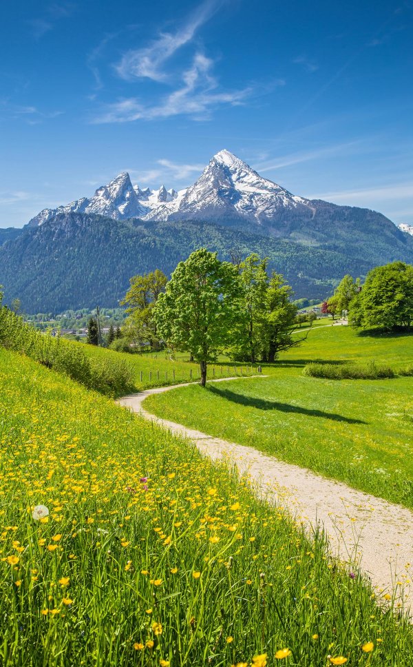 идиллический пейзаж