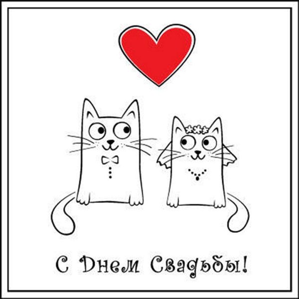с днём свадьбы поздравления смешные