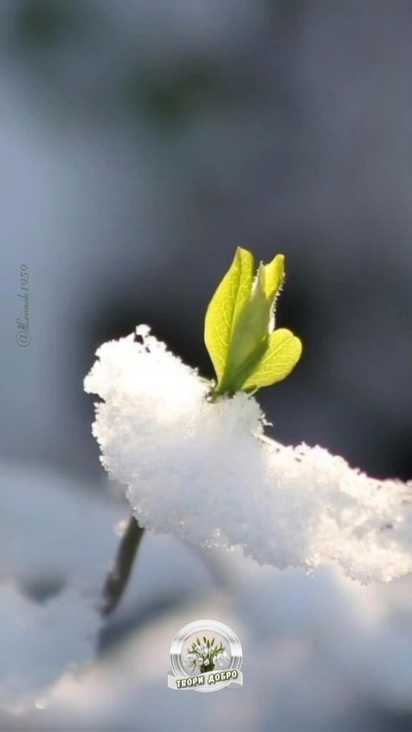 доброе весеннее зимнее утро