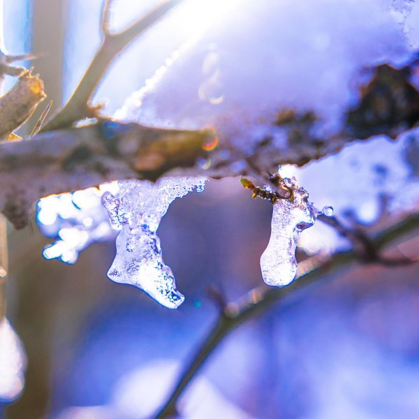 весенняя капель