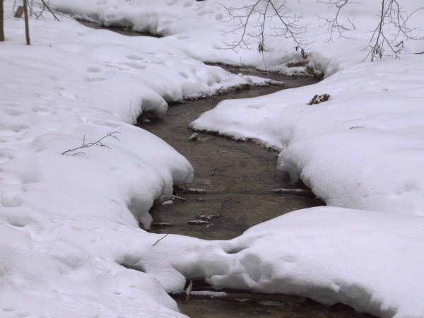 весенние ручейки