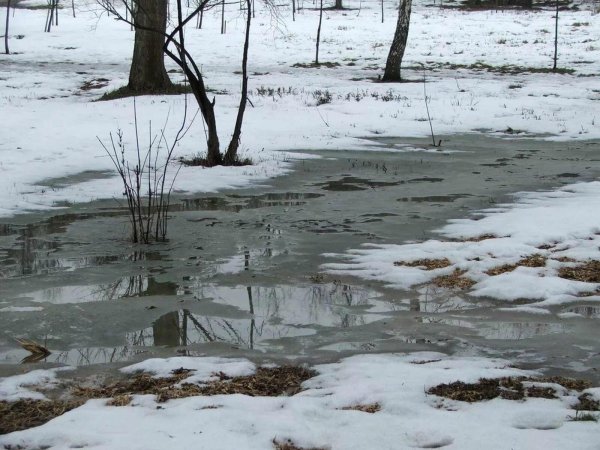 весенние лужи