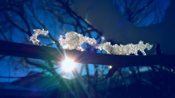 снежинки зима