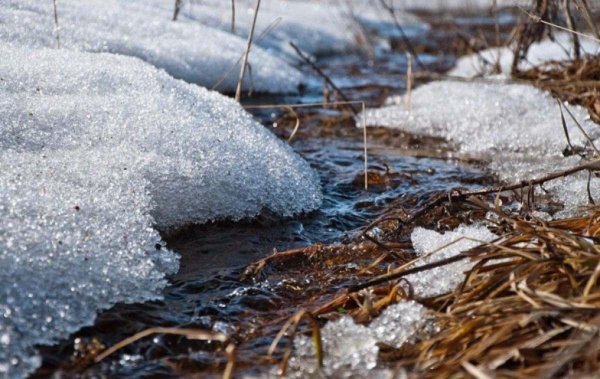 ручьи журчат бегут