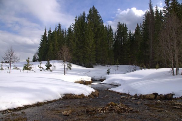 зимняя природа