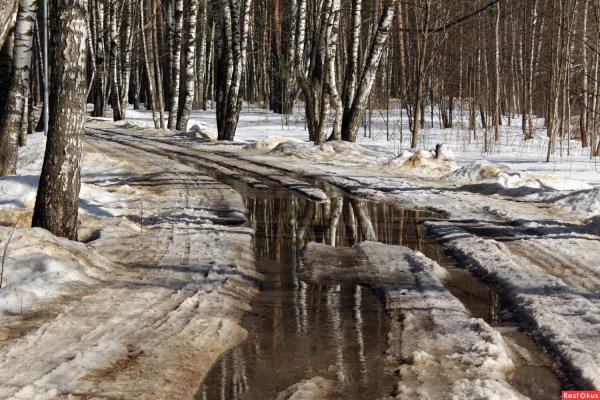 март природа