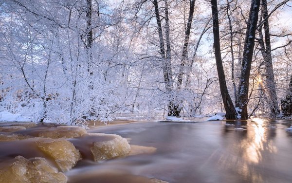 пейзаж зимний