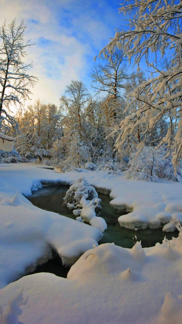 природа зимняя