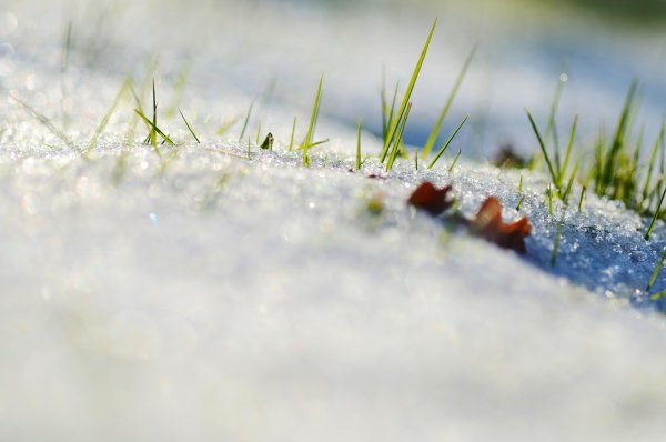 снег весной