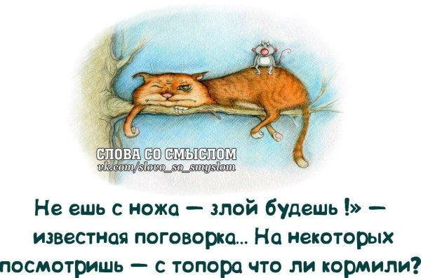 известные поговорки