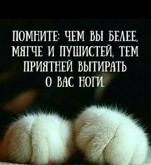 пушистая лапка