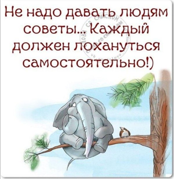 смешной слон