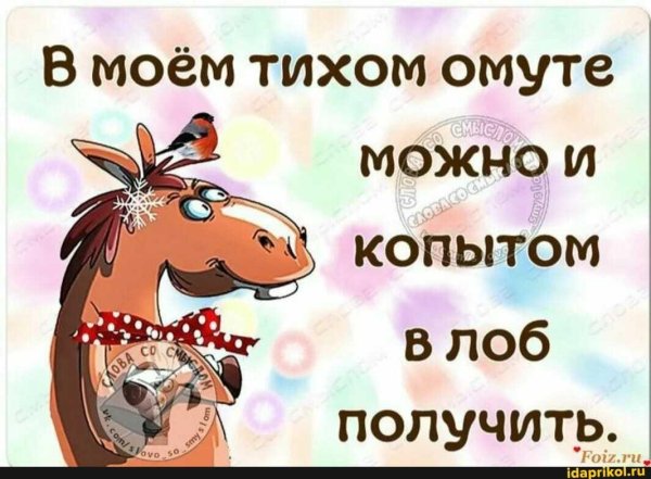 прикольная фраза