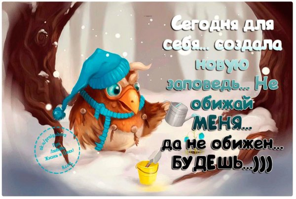 веселые открытки о жизни