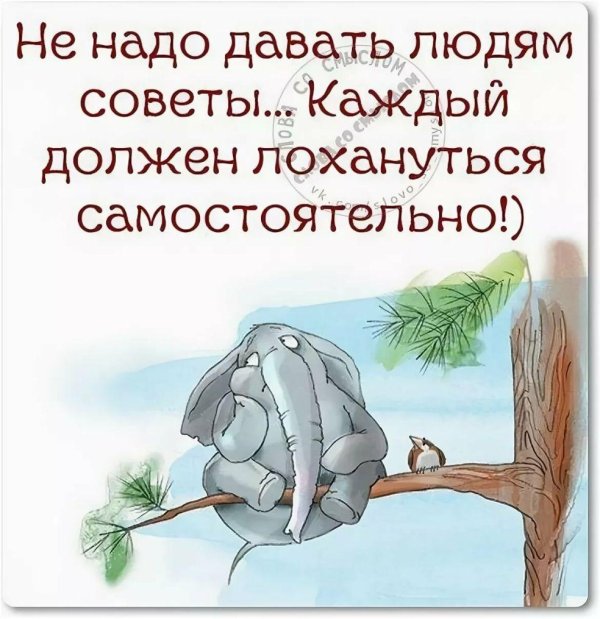 жизненные советы