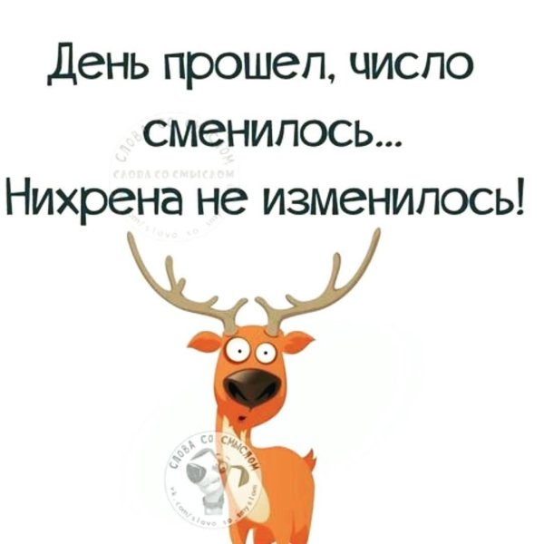 удивленный олень