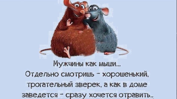 рататуй мышь