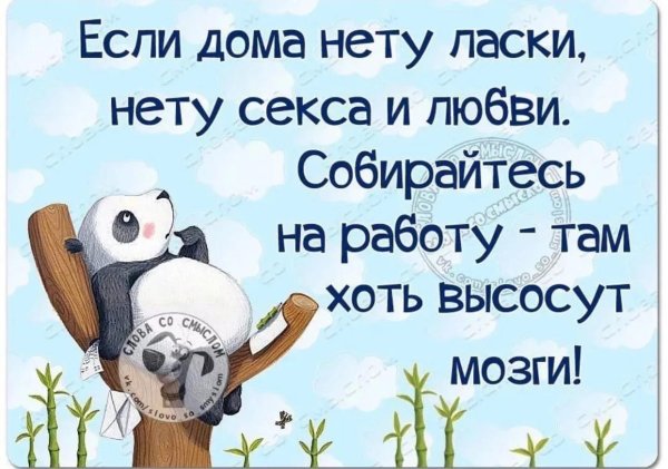 цитаты веселые