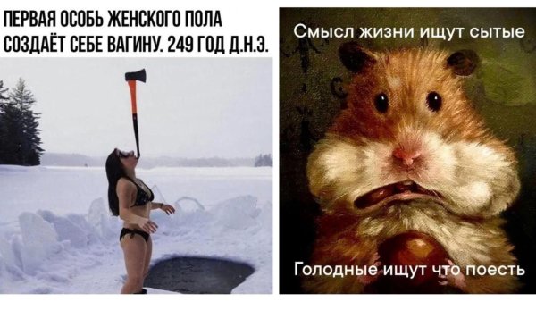 смешные картины