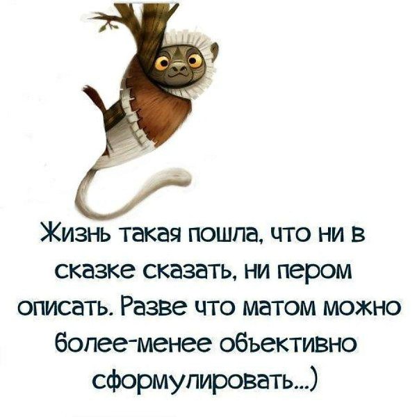 цитата смешная