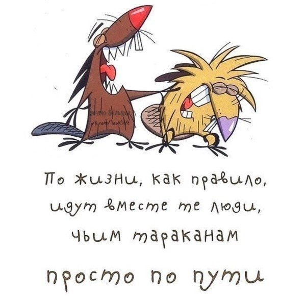 бобры крутые