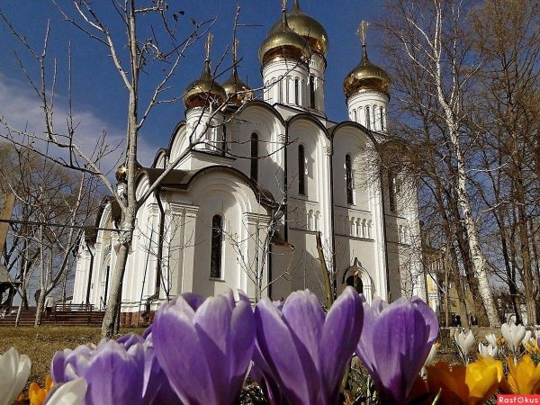 церкви переславлязалесского