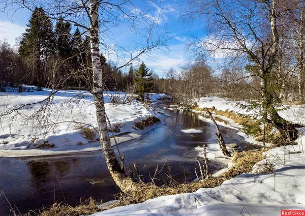 весенняя проталинка левитана