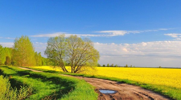 Русская весна