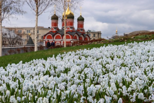 парк зарядье цветники