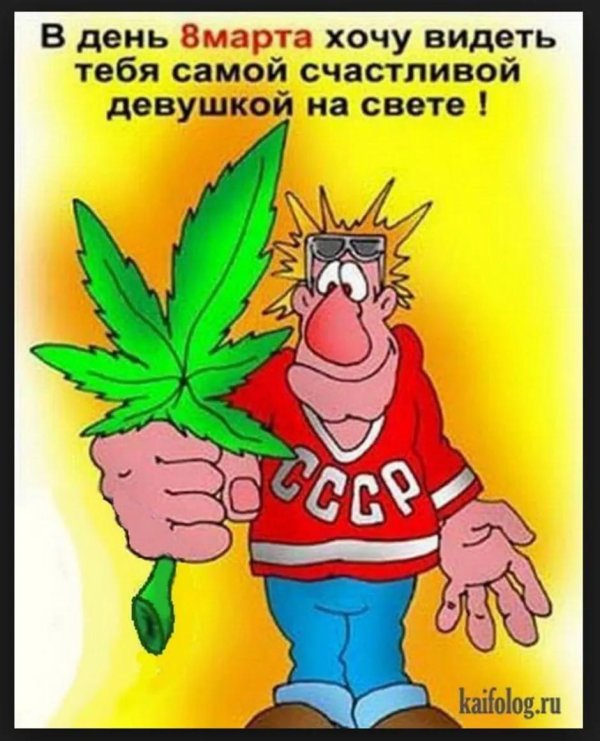 смешные открытки