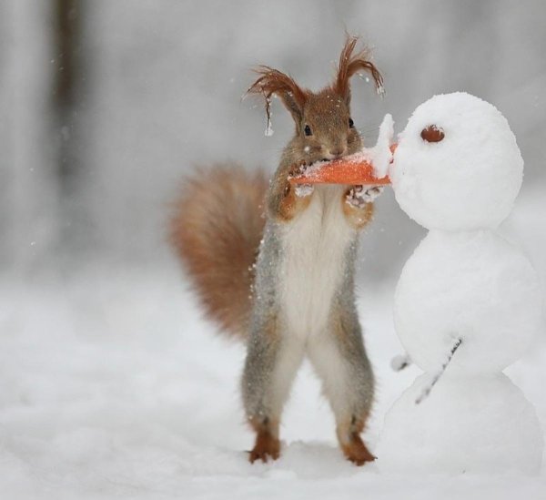вадим трунов