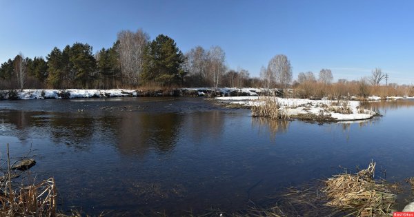 ранняя весна