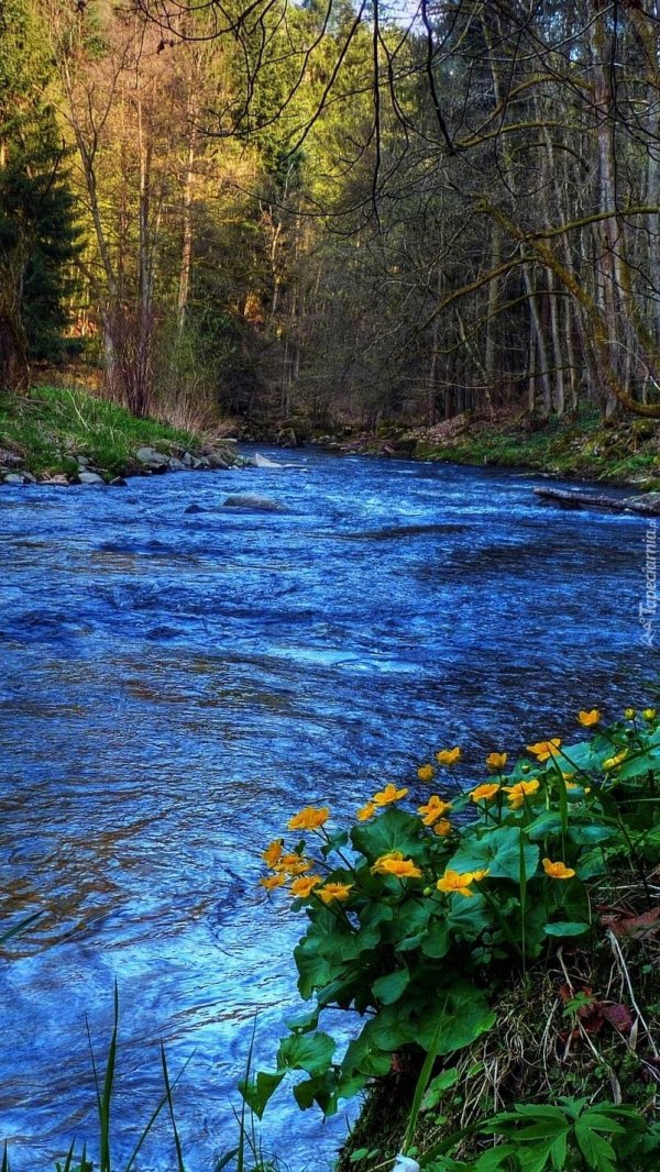 голубая река