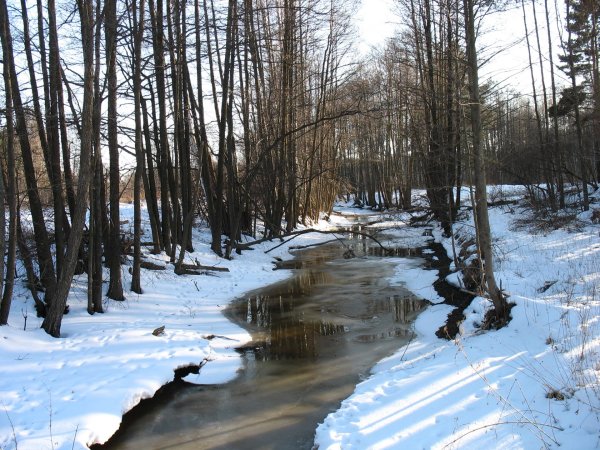 ранняя весна