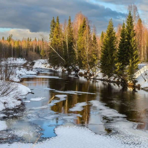 лесные ручьи карелии