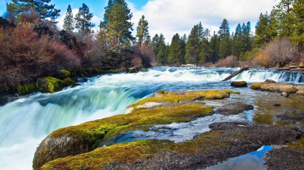 национальный заповедник гиффорд пинчот сша