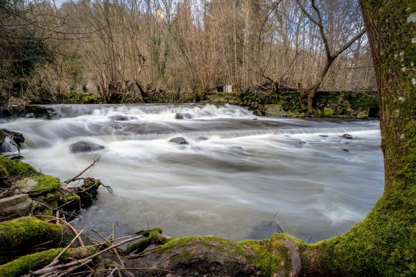 лесной ручей водопад йоркшир
