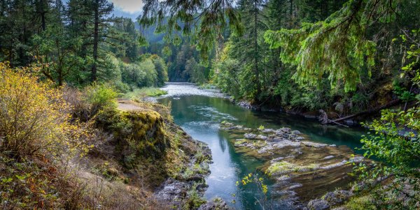 речка в лесу