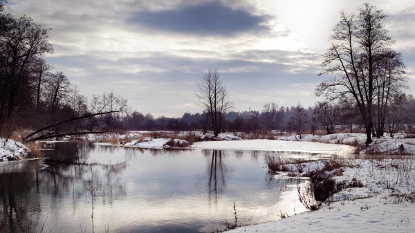 зима природа