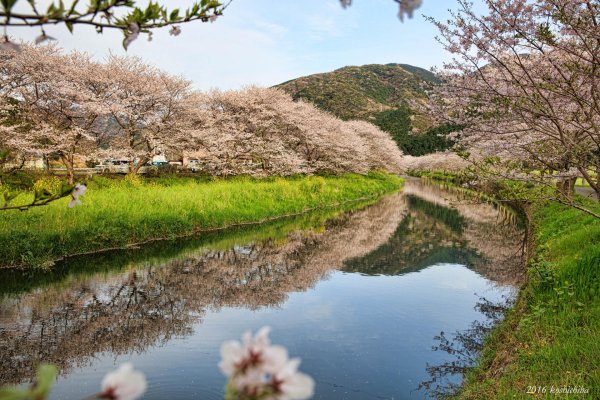 весенние пейзажи
