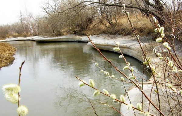 апрель природа