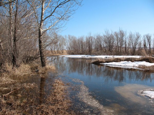 весенний разлив реки