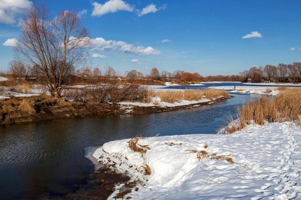 природа ранней весной