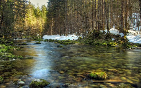 весенние ручьи