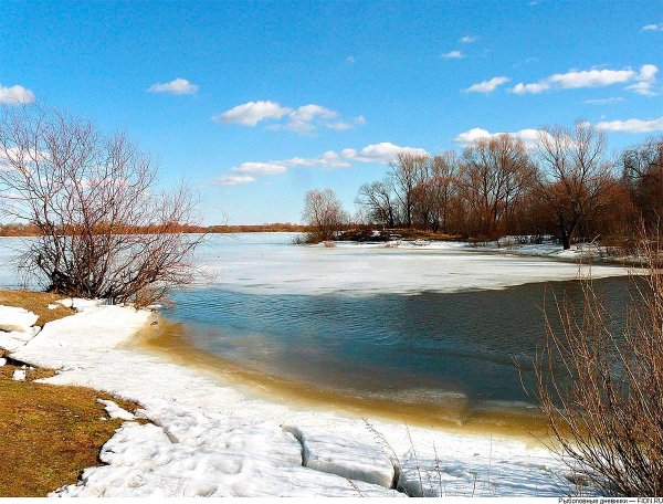 ранняя весна