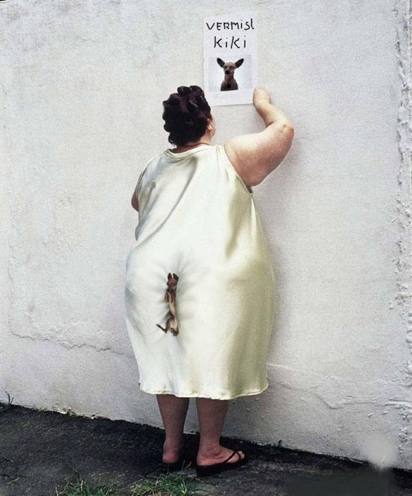 потерялась собака прикол