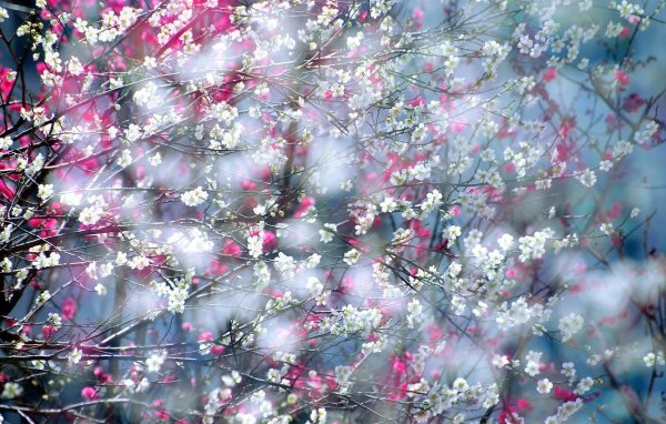 эффект весны