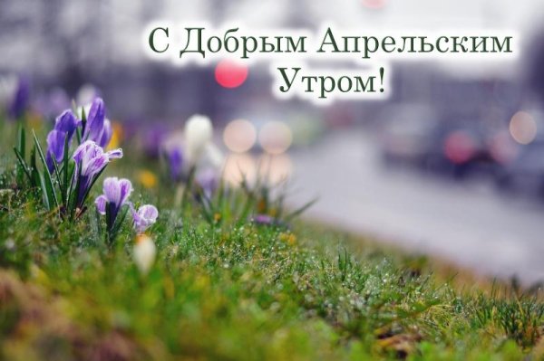открытка с добрым утром весенняя мартовская