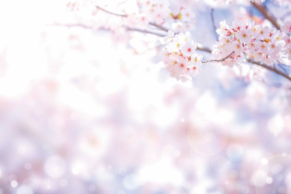 весенние фоны