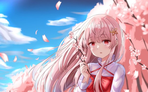 сакура девушка